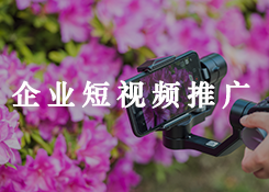 专业的短视频拍摄公司会提供优秀的短视频方案